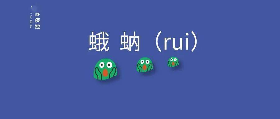 新澳門(mén)4949正版大全,健康元連續(xù)7個(gè)交易日下跌，期間累計(jì)跌幅8.37%