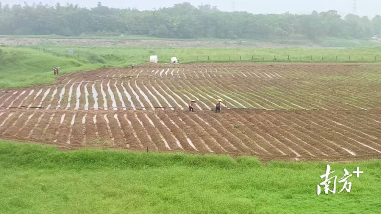 ?管家婆一肖一碼100%準(zhǔn)確?,商業(yè)宣傳違背社會(huì)良好風(fēng)尚，貴州茅臺(tái)鎮(zhèn)大唐酒業(yè)被罰4萬(wàn)元