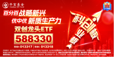 光伏雄起的原因或已找到！陽(yáng)光電源漲超6%，硬科技寬基——雙創(chuàng)龍頭ETF（588330）最高上探1．43%  第7張