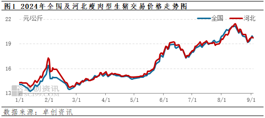 卓創(chuàng)資訊：9月份河北生豬供需或雙增 豬價如何行進？  第3張