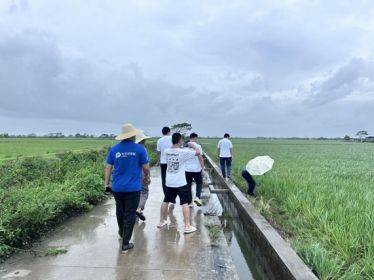 預賠1120萬元！中國太保應對“摩羯”與風競速