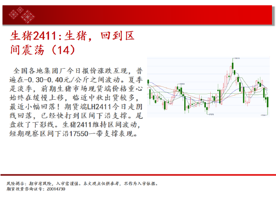 中天期貨:生豬回到區(qū)間震蕩 純堿小陽線