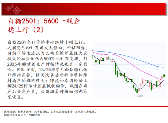 中天期貨:生豬回到區(qū)間震蕩 站上17000  第15張