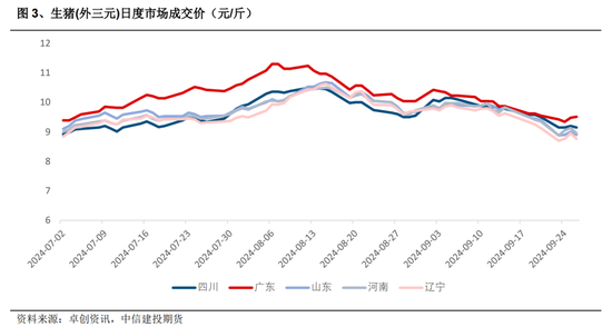 生豬：四季度展望，等待弱分歧下的新驅(qū)動(dòng)