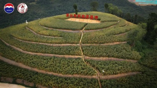 茅五洋瀘汾領(lǐng)頭，探索酒業(yè)ESG發(fā)展新路徑、新樣本