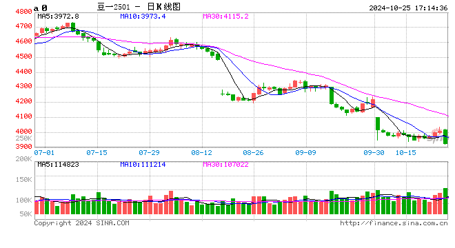 新季豆集中入市價(jià)格平穩(wěn)  第2張