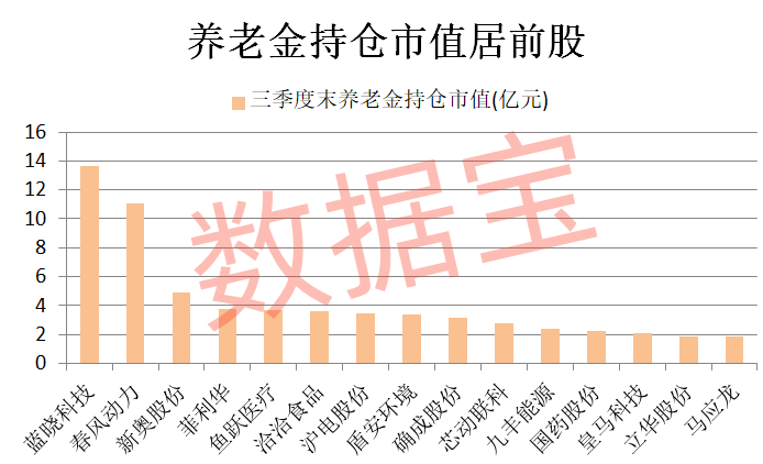 養(yǎng)老金長期看好股竟是它！加倉跡象明顯，滯漲股揭曉，5只具備國資背景