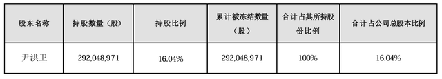 大股東持股遭八次輪候凍結(jié)，嶺南股份流動性危機何解