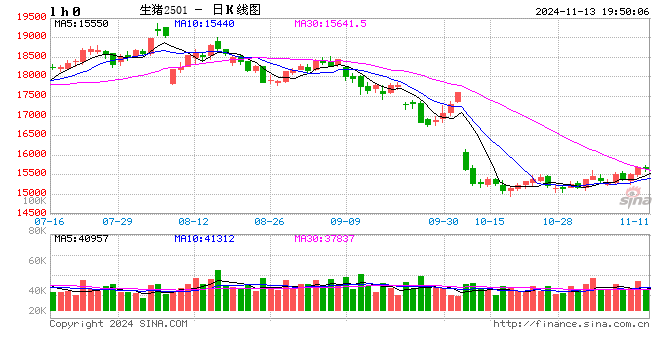 生豬：如何看待11月下半月行情？