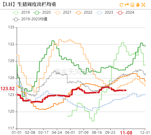 生豬：如何看待11月下半月行情？