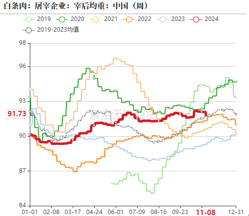 生豬：如何看待11月下半月行情？