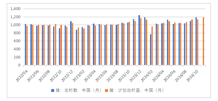 生豬：如何看待11月下半月行情？